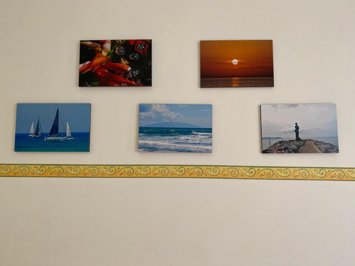 Gazania Appartamento San Vincenzo Esterno foto
